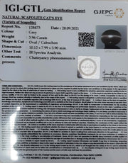 3.96/CT Natural Scapolite Cat's Eye with Govt. Lab Certified-(1221)